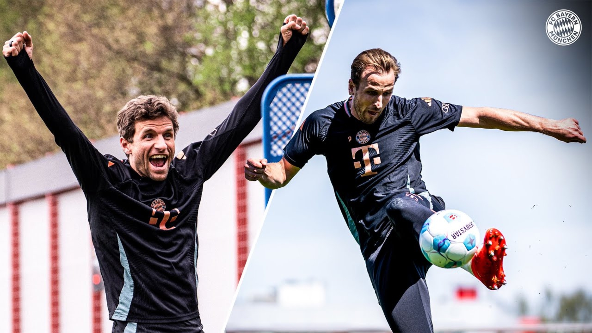 KAIYUN-凯恩迎来十二赛季高光表现，曼联球迷沸腾！的简单介绍